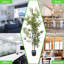 Faux arbre en bambou forêt pour la décoration intérieure, bureau, entrée-1613867379