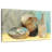 Senne Raku Study-107860447