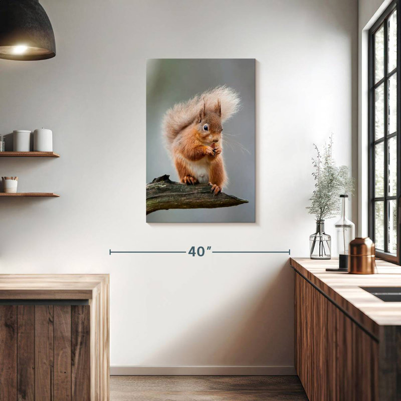 Brampt Red Squirrel Eating On A Branch, 36" H x 24" W