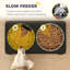 Pet Feeder