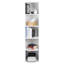 Drewery Bookcase
