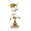 Lily Objet