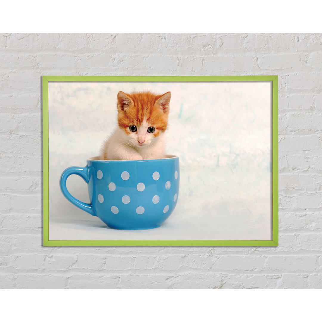 Teetasse Kätzchen Katze - Einzelner Bilderrahmen Kunstdrucke