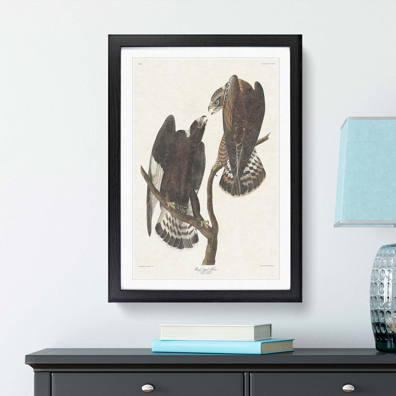 Rough-Legged Falcons by John James Audubon - Picture Frame Graphic Art Print, 50cm H x 35cm W x 2cm D, Black