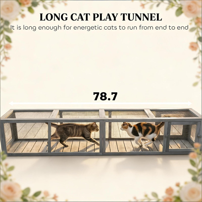 Cages et parcs pour chat spacieux, conception en acier et bois, tunnel extérieur rustique