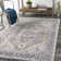 Infinity Oriental Indoor Rug