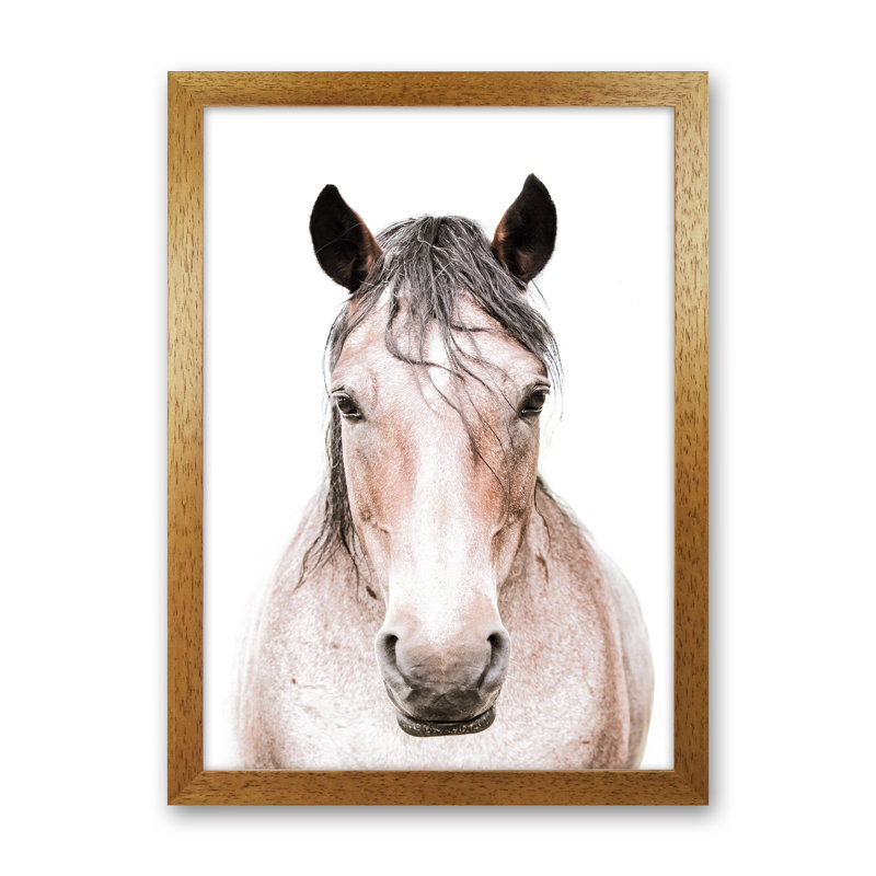 Horse by Victoria Frost - Print, Oak Framed, 34cm H x 25cm W x 3cm D