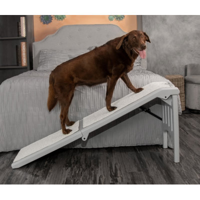 Rampe pour animaux 23 po