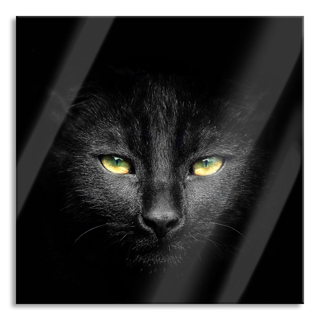 Glasbild Dark Black Cat Face