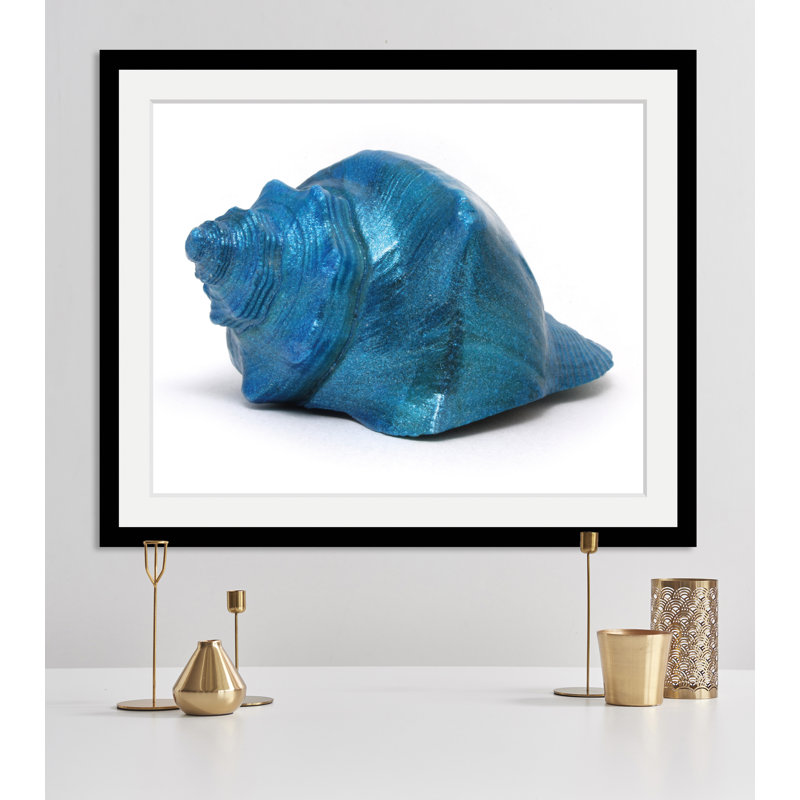 Shell - Single Picture Frame Print