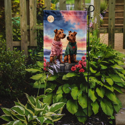 Double Sided 15.5'' H x 11.25'' W Polyester Valentine's Day Garden Flag
