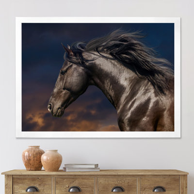 " Portrait Of Thoroughbred Nonius Stallion Horse III "