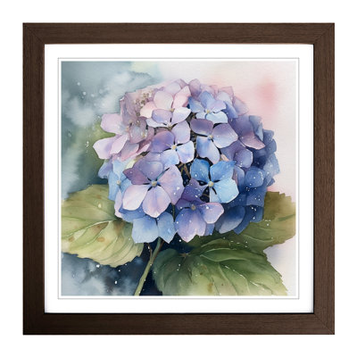 Hydrangea Watercolour No.3 - Framed Print