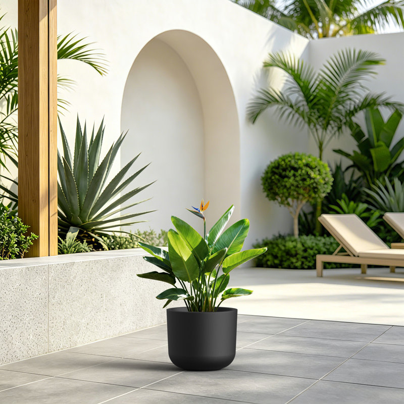 11 Inch Round Concrete Planter with Drainage Hole, Dark Charcoal, Dark Charcoal, 9.25" H x 11.02" W x 11.02" D