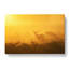 Grazing Stag Deer - Wrapped Canvas Painting-55365983