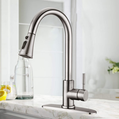 ESHOO Pull Down Kitchen Faucet