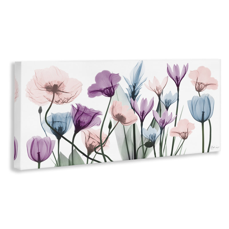 Modern Translucent Pastel Tulips Blossoms Canvas Wall Art, 48 x 20
