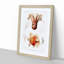 Octopus Illustrations by Albert I - Framed Print-55617687-55617689