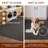 Somos Modern Machine Washable Grey Area Rug-516155425-516155426