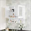 W H Medicine Cabinet Mirror