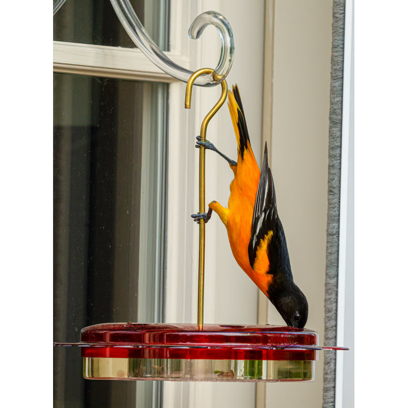 Clear and Red Hanging Polycarbonate Hummingbird Feeder with Brass Rod