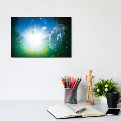 Medusa Aurelia by Barathieu Gabriel - Wrapped Canvas Print