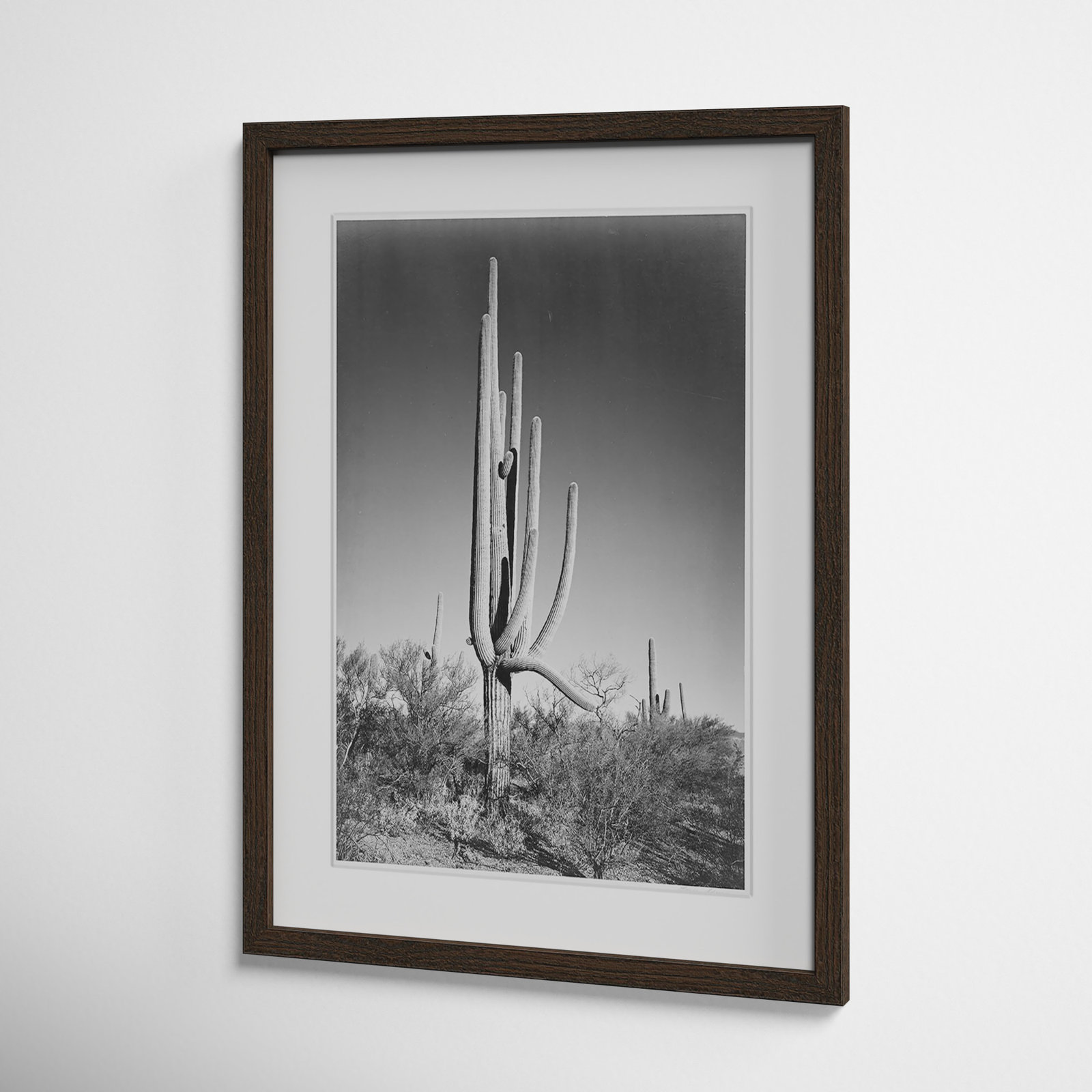 Saguaro National Monument Print by Ansel Adams, 23" H x 17" W x 0.75" D, Walnut