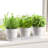 Indoor Herb Garden Planter Set with Tray-1028904029