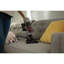 Aspirateur-balai sans fil pour animaux de compagnie Electrolux Ultimate800 ™ en gris urbain