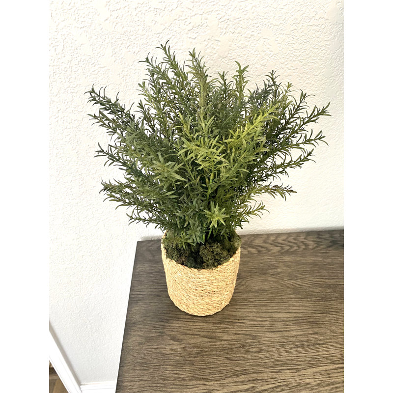 Faux Herbs Plant in Wicker/Rattan Basket