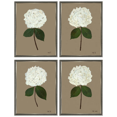 Pressed Hydrangea Set by Sandy Whitaker