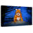 Halloween Cat-37226983