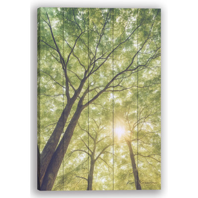 Impression sur toile Golden Sun