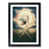 Black Framed selected