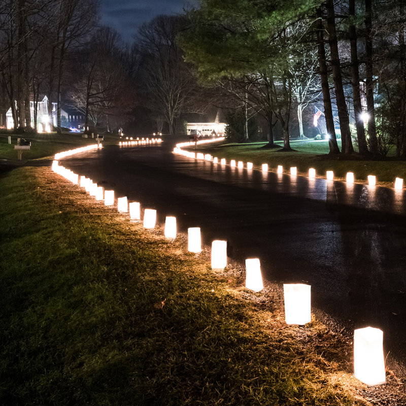 Paper Luminaria Bags