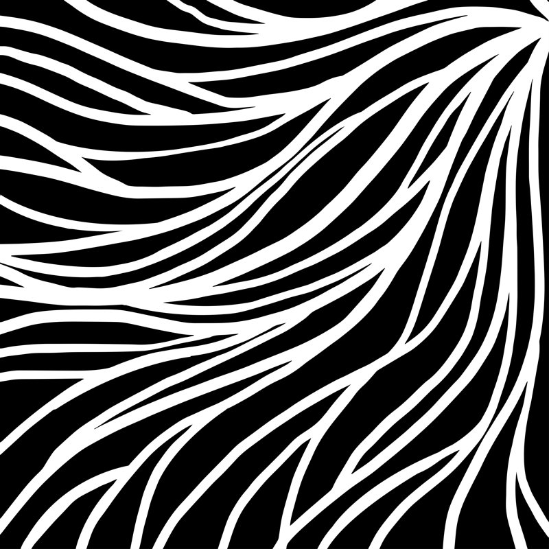 Roots by Archayasit - Wrapped Canvas Print, 30cm H x 30cm W x 3.8cm D