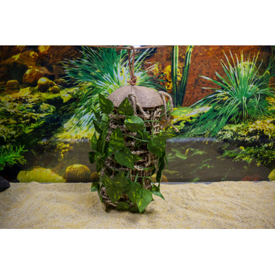 Reptology Lizard Lounger Coconut Climber with Vines