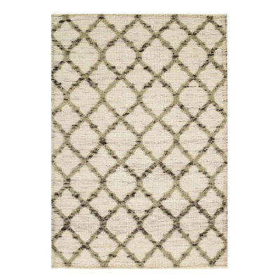 Canvello Beige Modern Rug - 4' X 6'