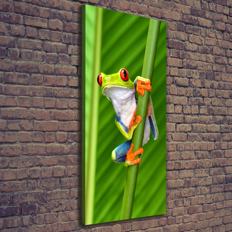 Tree Frog - Wrapped Canvas Print