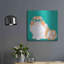 «Blue Persian» par Debbie Gray-960081522