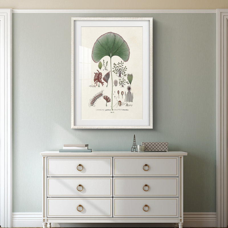 Boden -Gallery Wrapped Canvas, 28.5" H x 20.5" W, White