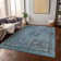 Machine Washable Indoor/Outdoor Claudian ACN1646 Blue Rug