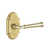 Satin Brass