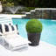24 " H Faux Boxwood Hedge