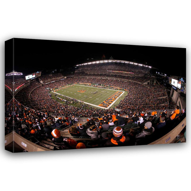 Paul Brown Stadium, 16" H x 24" W