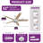 52" 5 - Blade Ceiling Fan With Light & Remote Control-219099419-219099396