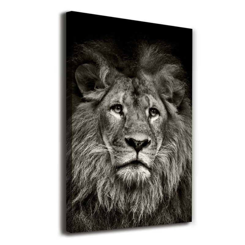 Lion - Wrapped Canvas Print