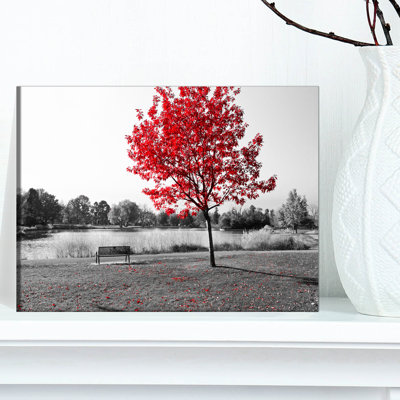 " Red Tree Over Park Bench "