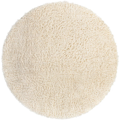 Indoor Rug