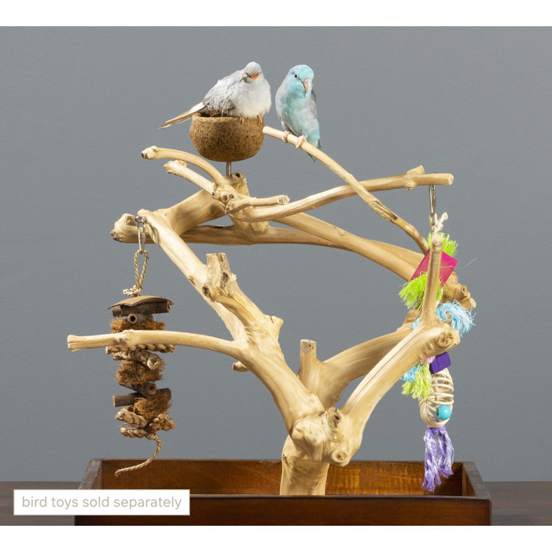 Small Natural Coffeawood Bird Play Stand with Food Cup
